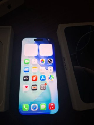 iPhone 16 Pro Max 256GB Gris/Plata