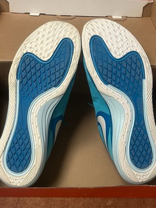 Nike Dual Fusion Scarpe Corsa Donna azzurro