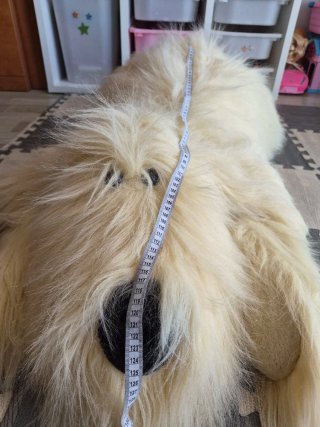 Peluche perro gigante 120cm