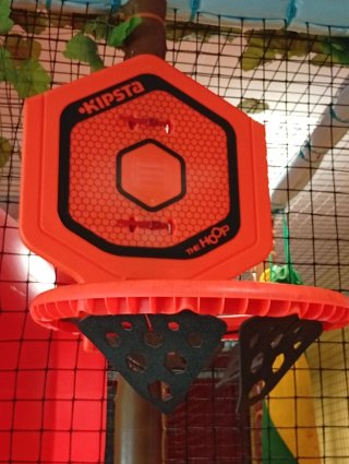 Canasta de baloncesto infantil Kipsta