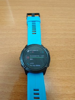 Correas Garmin Fenix 6X Sapphire