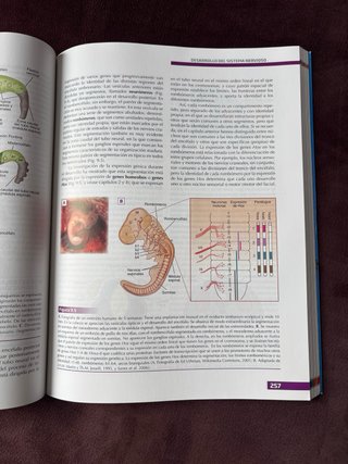 Libros F. Psicobiología y Ps. Social I y II UNED