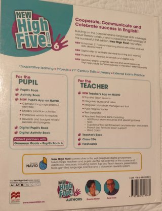 NEW HIGH FIVE 6 Ab Pk