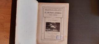 El mundo animal para niños