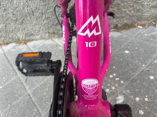 Bicicleta Monty Rosa Infantil