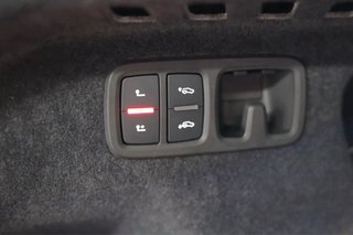 Audi RS Q8 TFSI quattro (600 cv)2024
