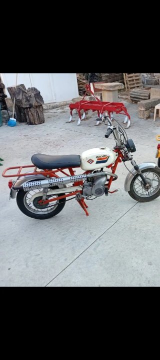 Ducati 50 cc Moped Amarillo
