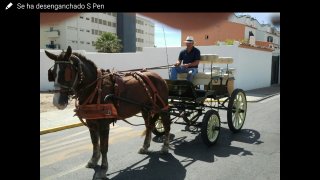 Coche de caballos  doma