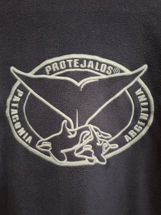 Sudadera Patagonia