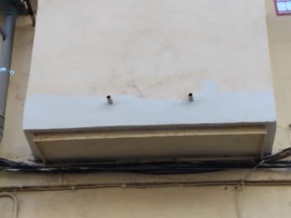 Pintor y cambio bañeras por plato de duchas