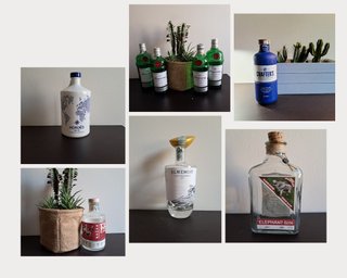 9 x Bottiglie Gin - Vuote - Rare