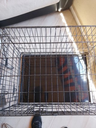 Jaula para perros