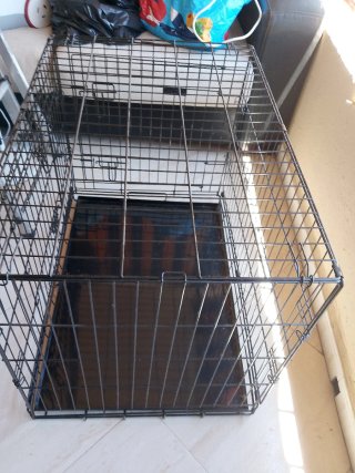 Jaula para perros