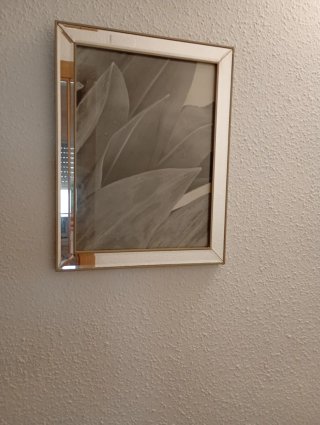 Cuadros varios cada uno 10€