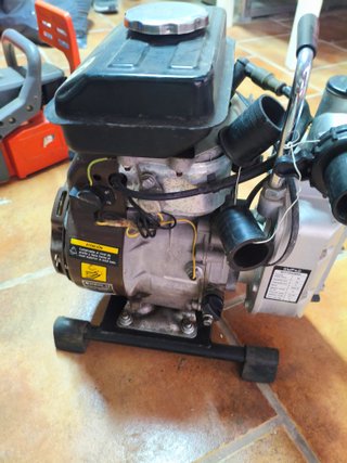 Motor de gasolina