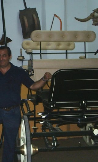 Coche de caballos para 6 personas