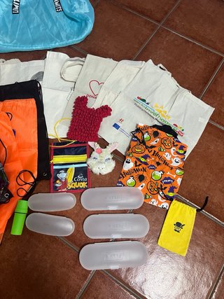 Lote de bolsas ,mochilas,guarda todo