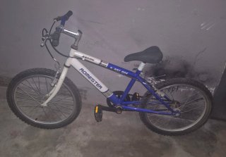 Bicicleta Romester Art 20x