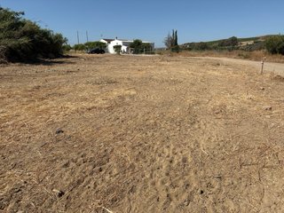 Parcelas en alora