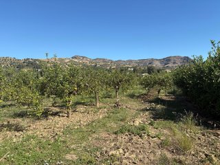 Parcelas en alora