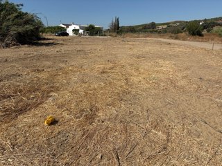 Parcelas en alora