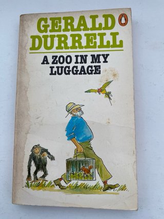 Lote 9 libros en inglés