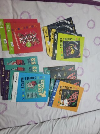 Libros texto Mate, Lengua, Cono y Religión 4°