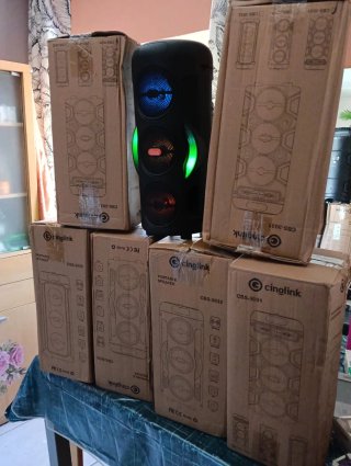 Altavoz Cinglink Bluetooth Karaoke Micrófono