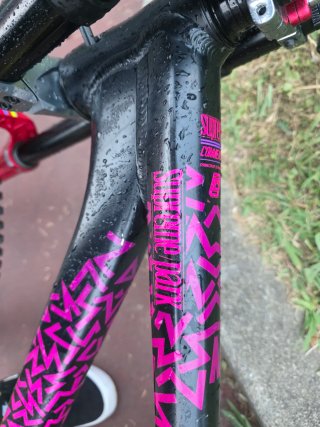 Commencal Supreme Bike Park