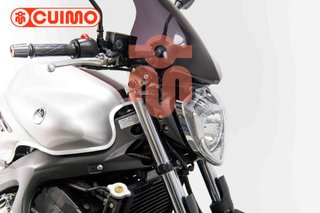 YAMAHA FZ6 N