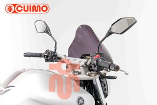 YAMAHA FZ6 N