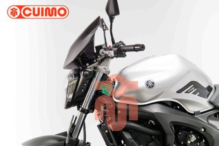 YAMAHA FZ6 N