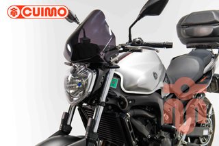 YAMAHA FZ6 N