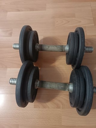 Mancuernas ajustables con discos