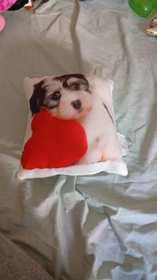 Cojín perro con corazón rojo