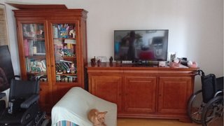 Mueble TV y Vitrina Madera Conjunto. El perro no.
