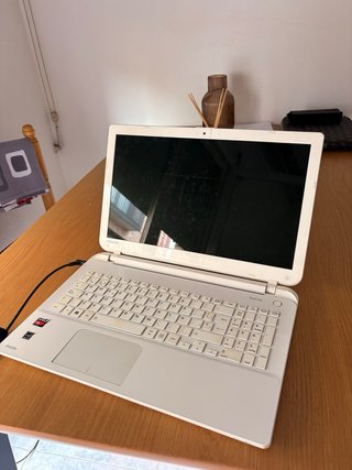 Ordenador Toshiba Beige/Blanco