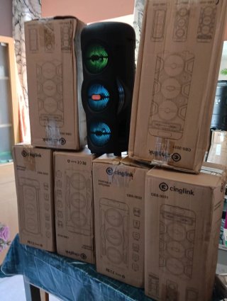 Altavoz Cinglink Bluetooth Karaoke Radio Micrófono