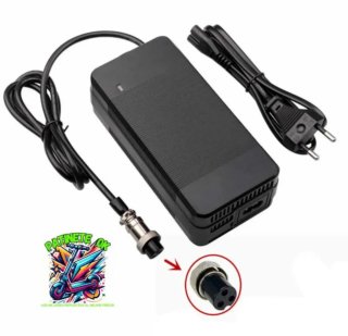 Cargador Patinetes Eléctricos Smartgyro Zwheel