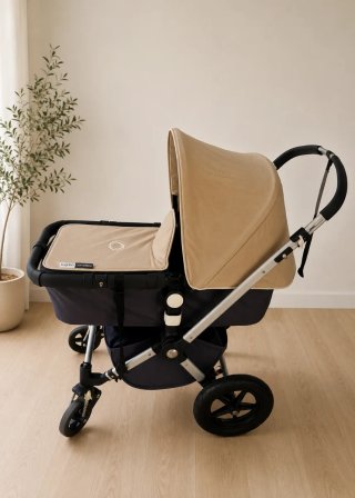 Carrito Bugaboo Camaleón 1