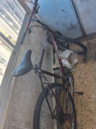 Bicicleta de montaña Forestal Protonic