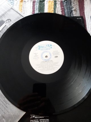 Vinilo Los Malditos Flores Muertas Punk Rock