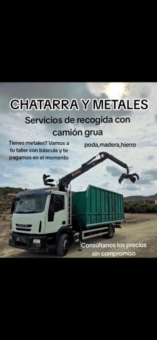 Recogida con camión grua