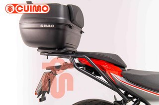 QJ MOTOR SRK 600