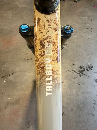 Santa Cruz Tallboy V4