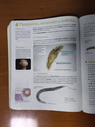 Biología y Geología : 1o ESO