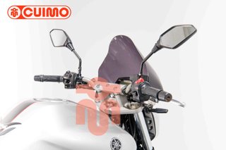 YAMAHA FZ6 N