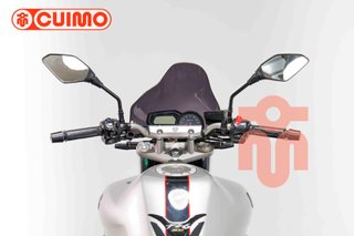 YAMAHA FZ6 N