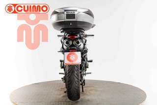 YAMAHA FZ6 N