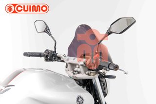 YAMAHA FZ6 N